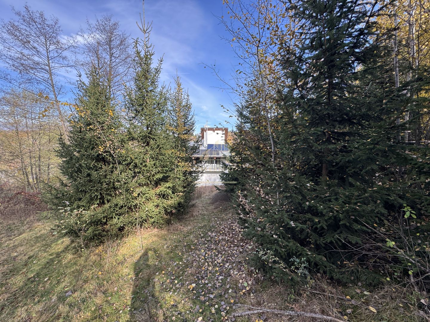 TEREN INTRAVILAN 13167 MP BUGHEA DE SUS ARGES - Poză 15