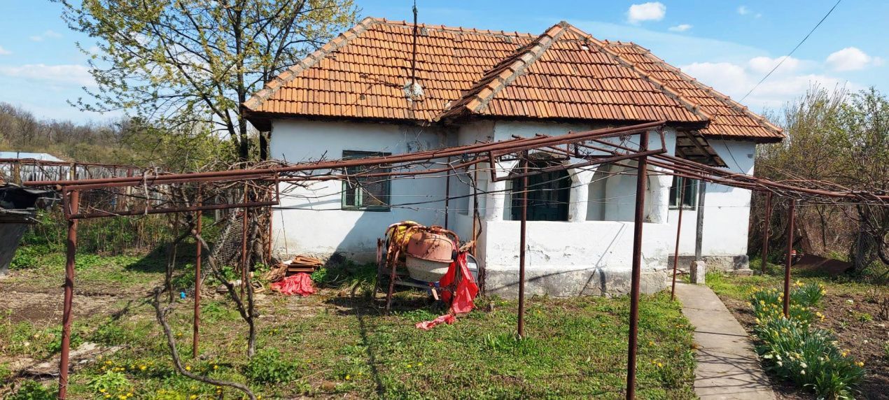Casă cu hală industrială Drăguțești - Poză 1