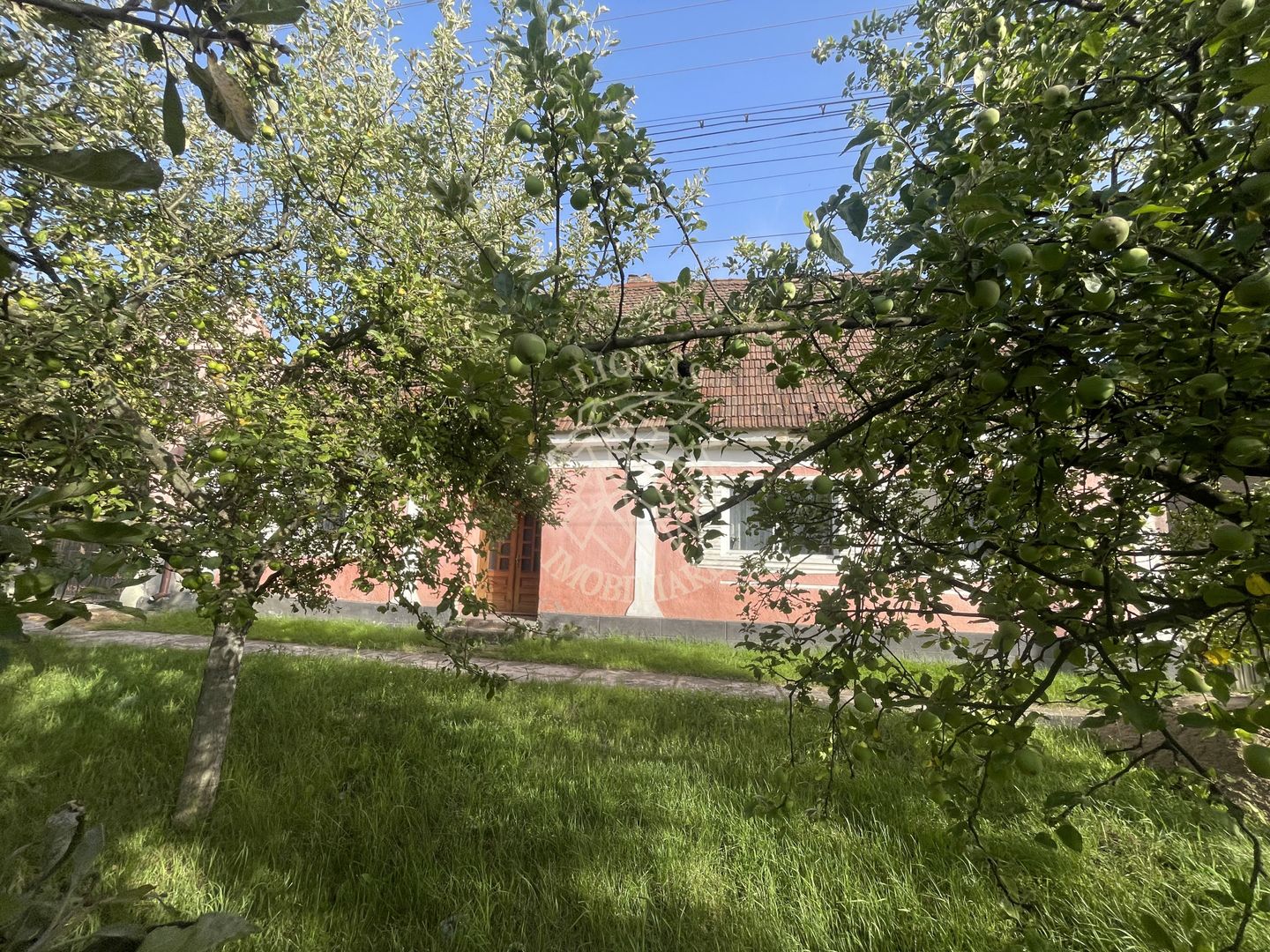 OFERTA! Casa saseasca 3 camere 105 mp-investitie-Livezile - Poză 3