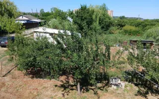 Casă de vânzare – Lunca Cetățuii, comuna Ciurea - Poză 12