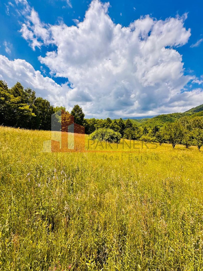 Teren intravilan Bran 2.772 mp | Vedere Piatra Craiului | Potrivit pentru cabane - Poză 11