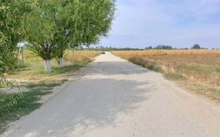 Palanca - Floresti - Stoenesti, Jud. Giurgiu, teren 4700 mp, utilitati - Poză 1