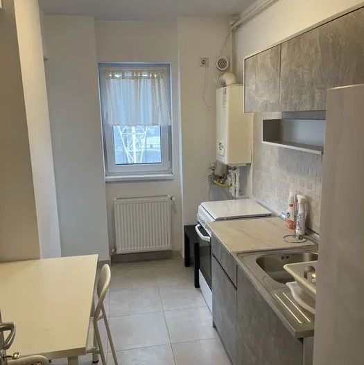 AP. 2 CAMERE LUJERULUI, CAT-FRIENDLY, CENTRALA, METROU 10 MINUTE - Poză 6