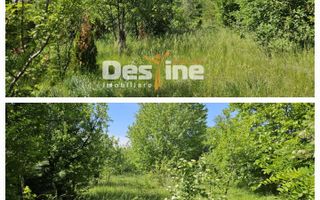 Tomesti-Chicerea, teren intravilan  3523 mp - Poză 1