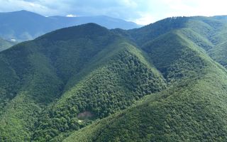 Teren intravilan 3000mp, Regim P+1+M, Sibiu, Tocile - Sadu - Poză 8