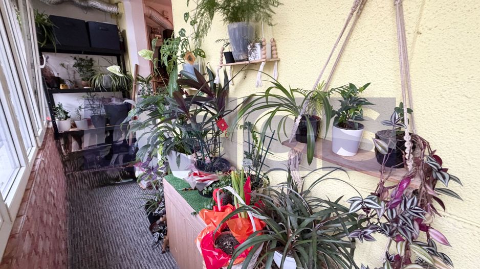 VANZARE 2 CAMERE | RENOVAT | ETAJ 1 | 52 MP | ZONA ION MIHALACHE - Poză 11