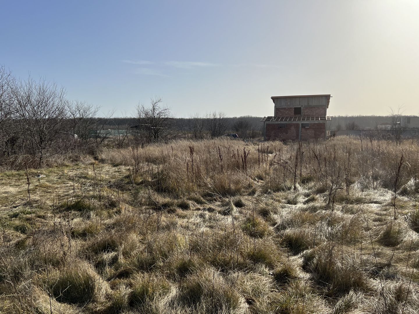 Teren Balotesti - Privighetorilor (Parcului Edenland) - Poză 4