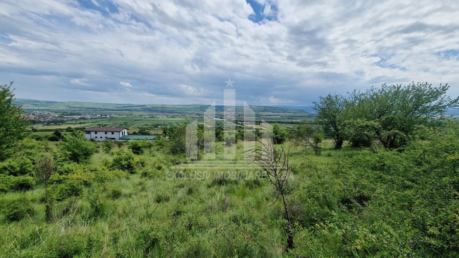 Teren extravilan de vanzare, Paclisa - Poză 4