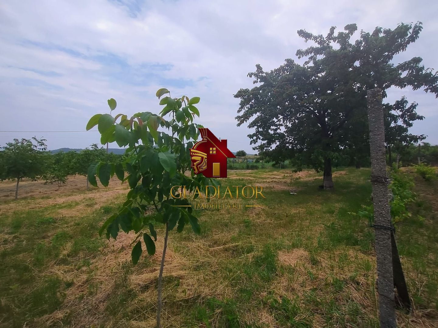 Casa + garaj + 5400 mp teren in Tomesti Goruni, zona de vis, nu rata - Poză 25