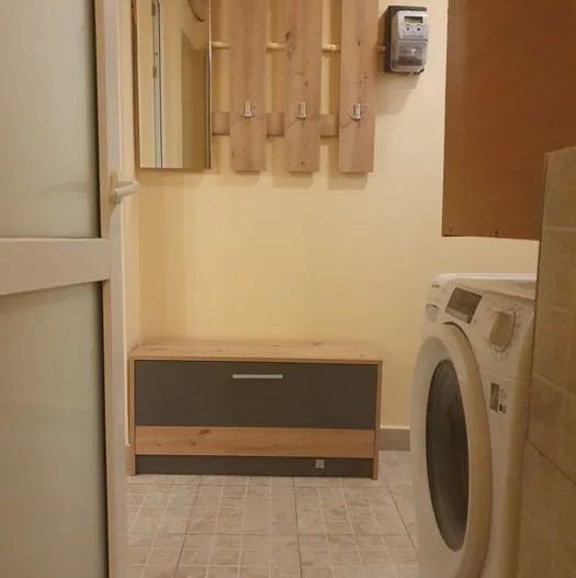 STUDIO RENOVAT ZONA FLOREASCA - Poză 5