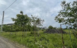 Teren intravilan de 529 mp în Șorogari (Aroneanu) – utilități și studiu geotehnic - Poză 1