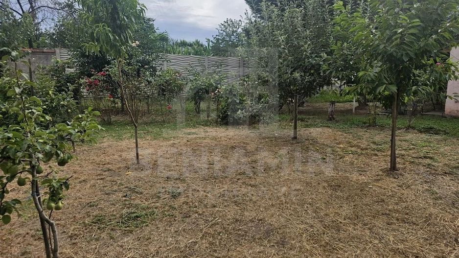 Casa-cu-Teren-Generos-(625 mp)-Panouri-Solare – Bariera-Valcii - Poză 3
