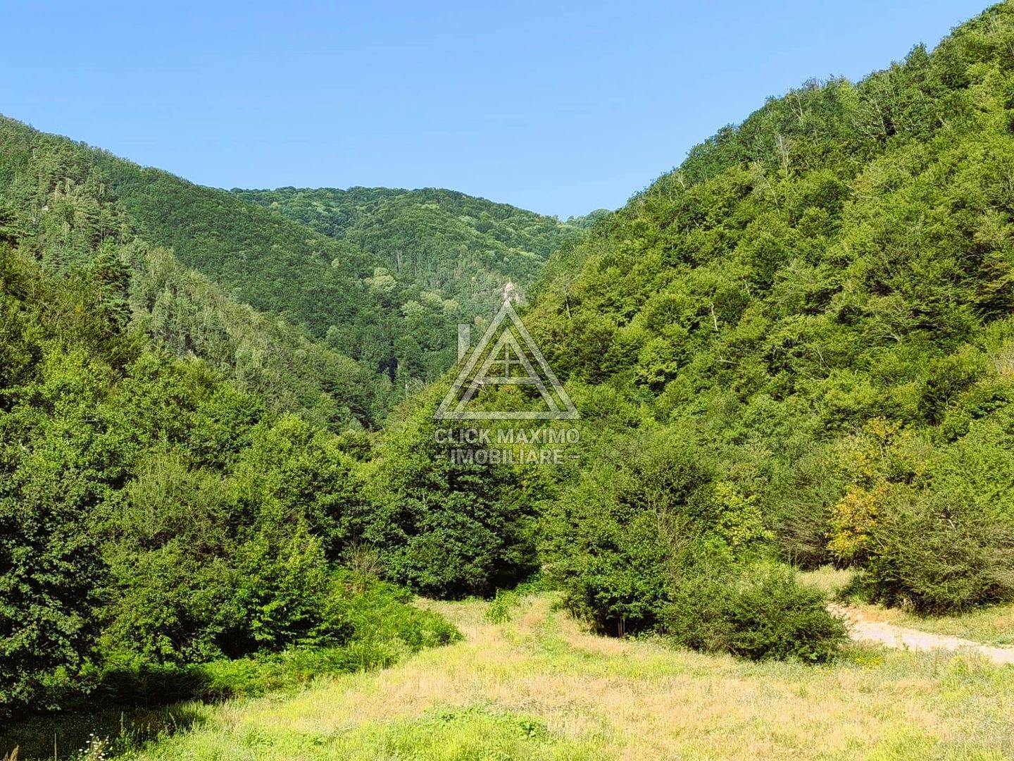 240 Hectare Pădure Valea Oltului Resurse Naturale Potențial Turistic - Poză 5