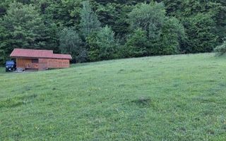 Teren extravilan 17.500 mp | Apoldu de Sus | cabană 46 mp - Poză 1