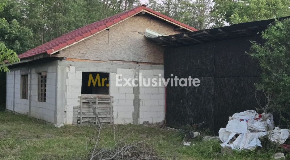 Casă cu 7.769 mp teren și pădure | Budieni | 53.000€ - Poză 10