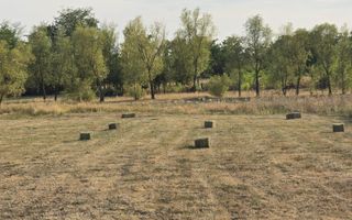 Teren intravilan 6.514mp | 39m front stradal | Ciocaia | Săcuieni - Poză 7