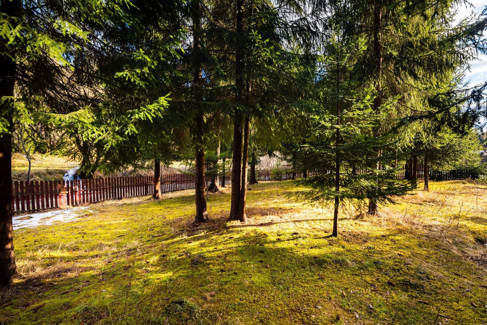 Cabane cu 10 camere Arieseni - Poză 10