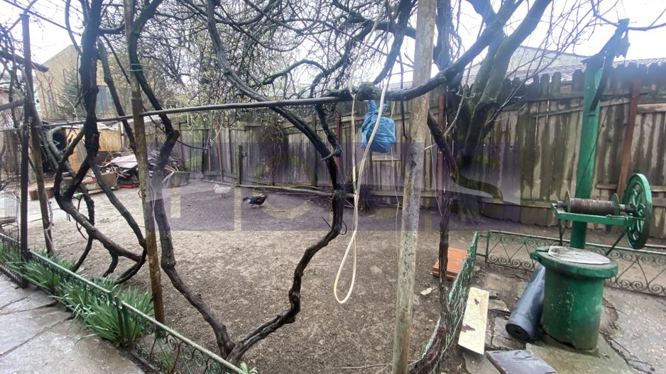 TEREN 800MP | STRAULESTI - Poză 4