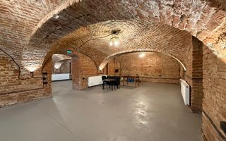 SAD - Spatiu comercial central de 160mp in Arad - ideal: crama, cafenea, magazin - Poză 3