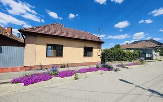 Casă + Teren 2.730 mp – Oportunitate de Investiție, Nufărul - Poză 1