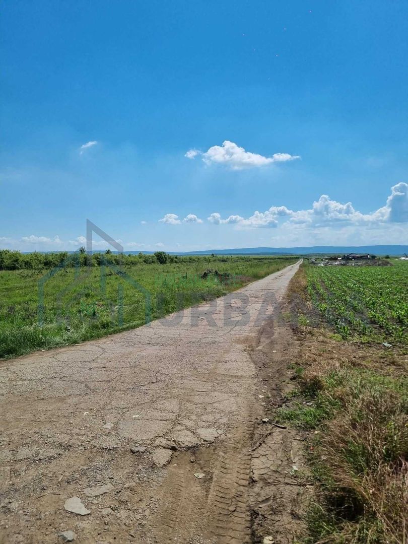 Teren extravilan Miroslava, zona Ferma Liliac – 722 mp – oportunitate de investiție – 10.000 euro - Poză 3