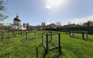 Casă Săsească Autentică cu Șură Impresionantă în Cristian – Teren 2729mp - Poză 11