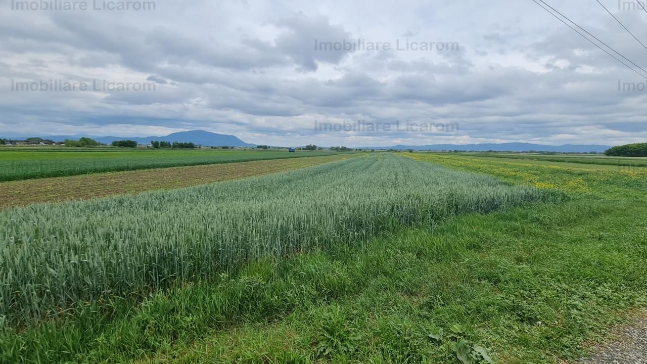 Teren Stupini Calea Feldioarei 4600 mp,22 euro/mp, front la asfalt - Poză 4