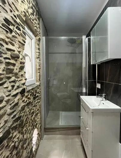 Casă individuală 2 camere Saliste Sibiu - Poză 10