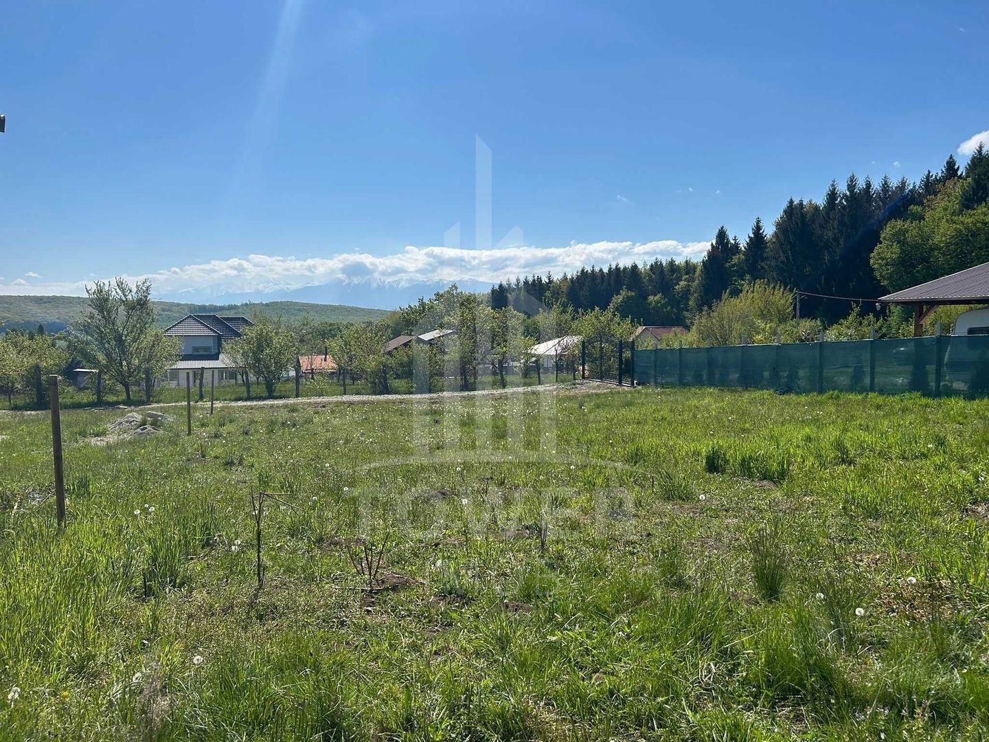TEREN 600 MP | VEDERE PANORAMICĂ | LA MARGINEA PĂDURII | Tocile, SIBIU - Poză 3