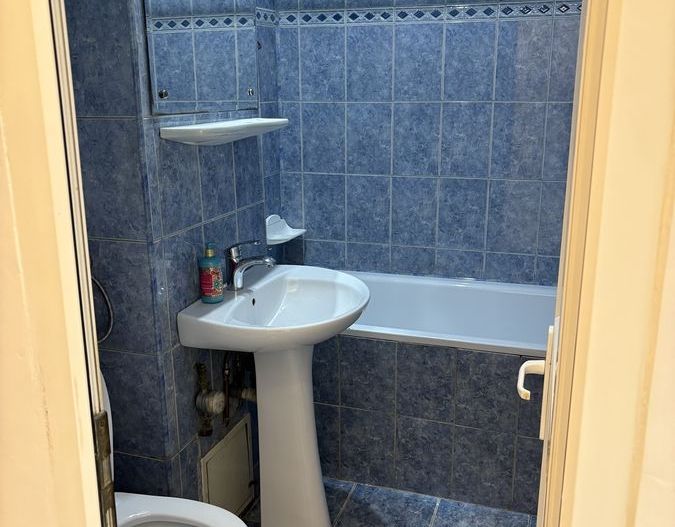 Minis, sector 3 - Poză 11