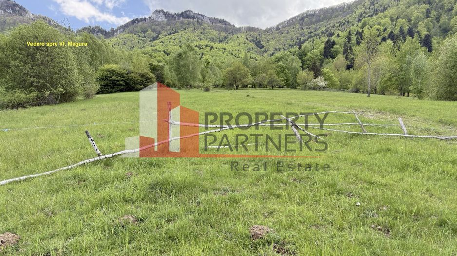 Teren intravilan 5.261 mp Tohănița | Deschidere 49 m | Utilități, lângă pădure - Poză 8