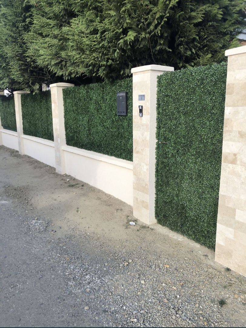 Casa Paulesti - Poză 4