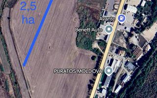 Teren agricol de vânzare 2,5 ha Singera/Avânte - Poză 1