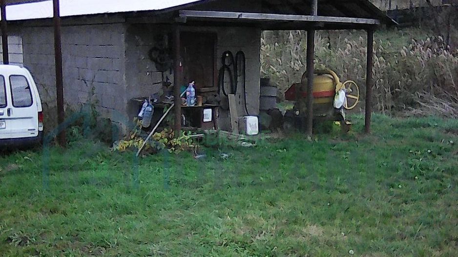 Proprietăți în satul Radeni, comuna Roscani, județul Iași – terenuri și construcții - Poză 3