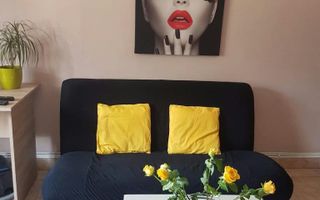 Apartament 3 camere decomandat, parter, Aleea Nicolina 13, complet mobilat și utilat - Poză 2