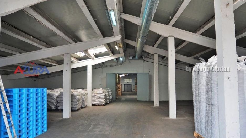 COMISION 0% - HALE Calinesti Arges - Poză 30