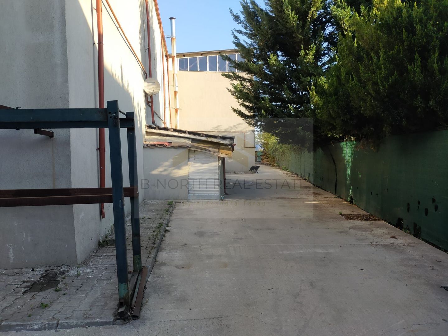 Dpozit- Service auto- Spatiu IndustrialOtopeni - Poză 3