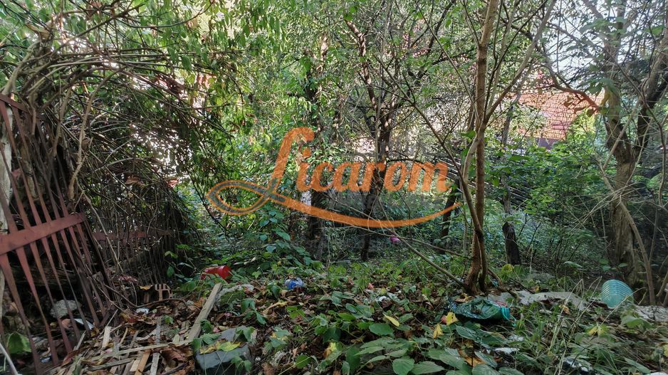 Casa singur in curte zona ZONA ISTORICA langa Seminarul Teologic - Poză 8