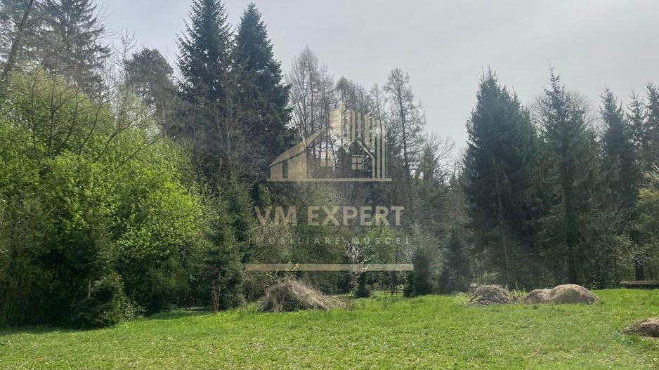 TEREN INTRAVILAN 1800 MP MIHAESTI ARGES COMISION 0 - Poză 2