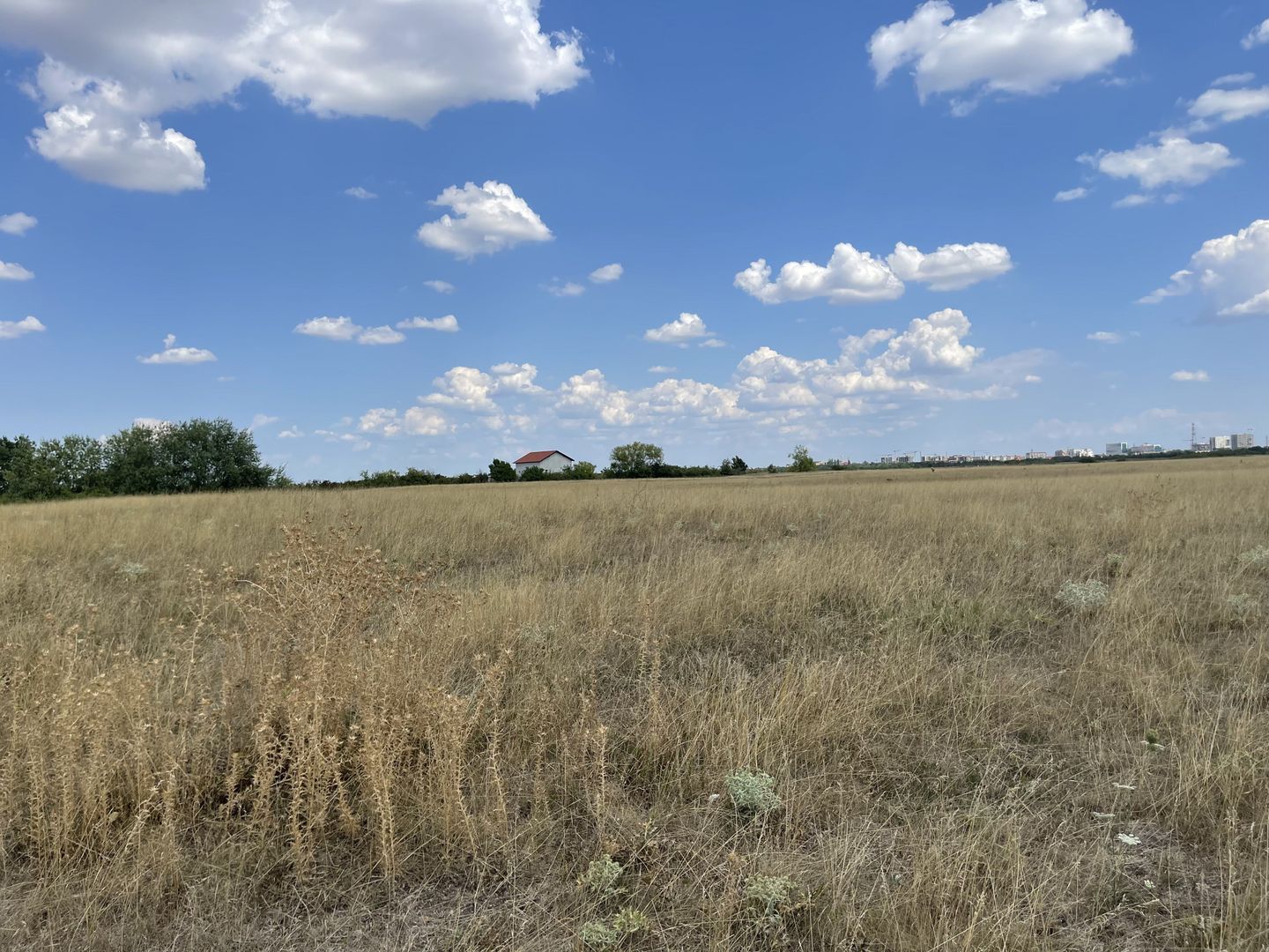 Teren Timisoara NORD - Viitorul Cartier Integrat | 519 mp, FS 18 m - Poză 2