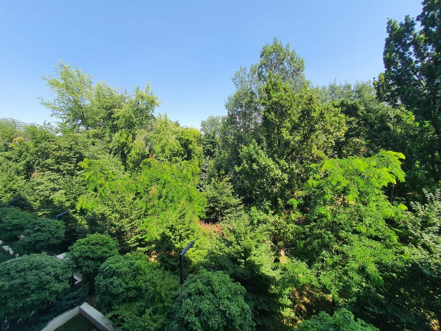 Apartament 5 camere High End Rahmaninov Residence I Floreasca - Poză 2