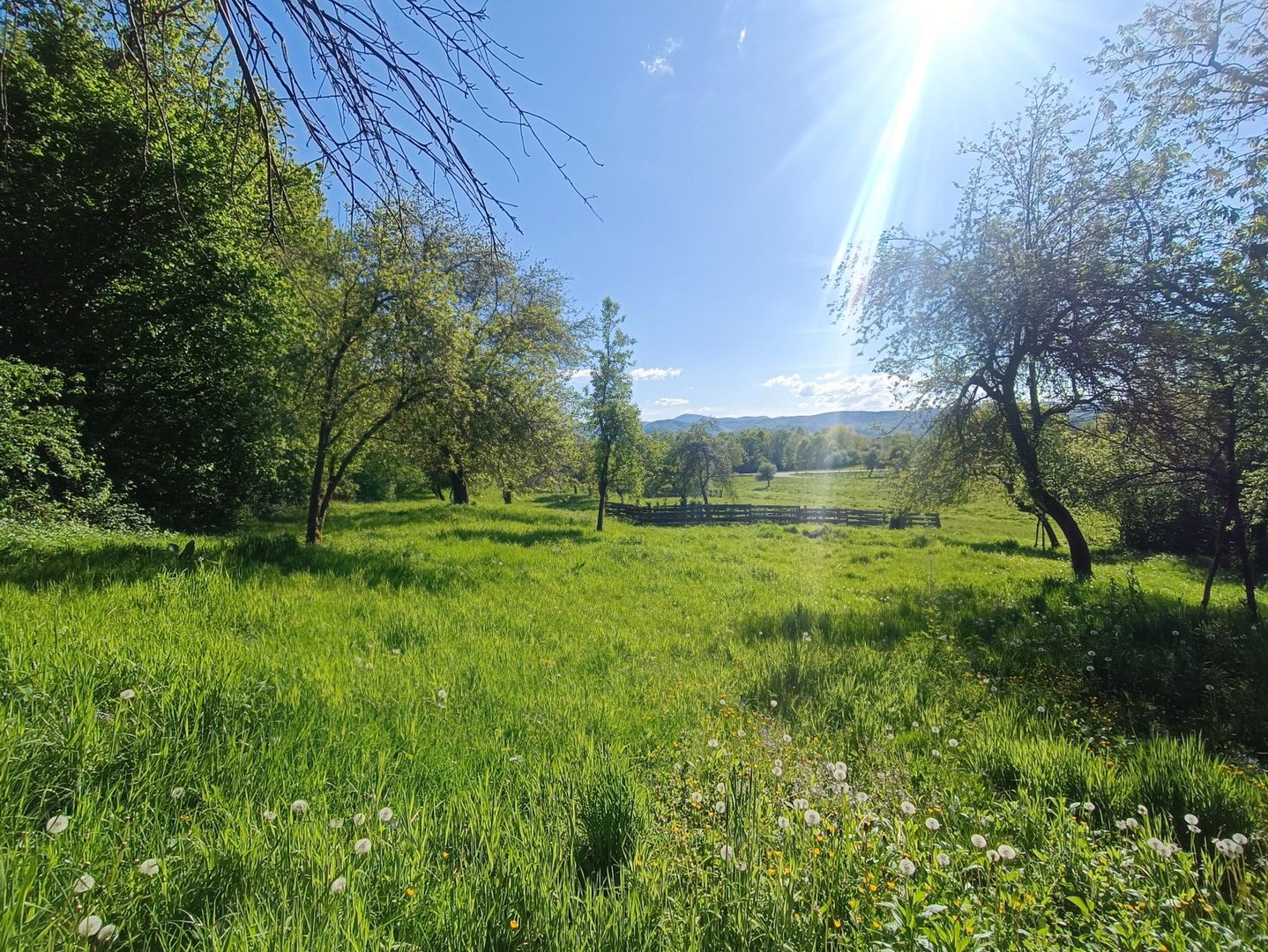 Descoperă căsuța ta de vis la poalele Munților Apuseni - Poză 3