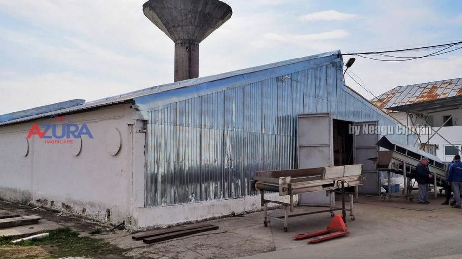 COMISION 0% - HALE Calinesti Arges - Poză 26