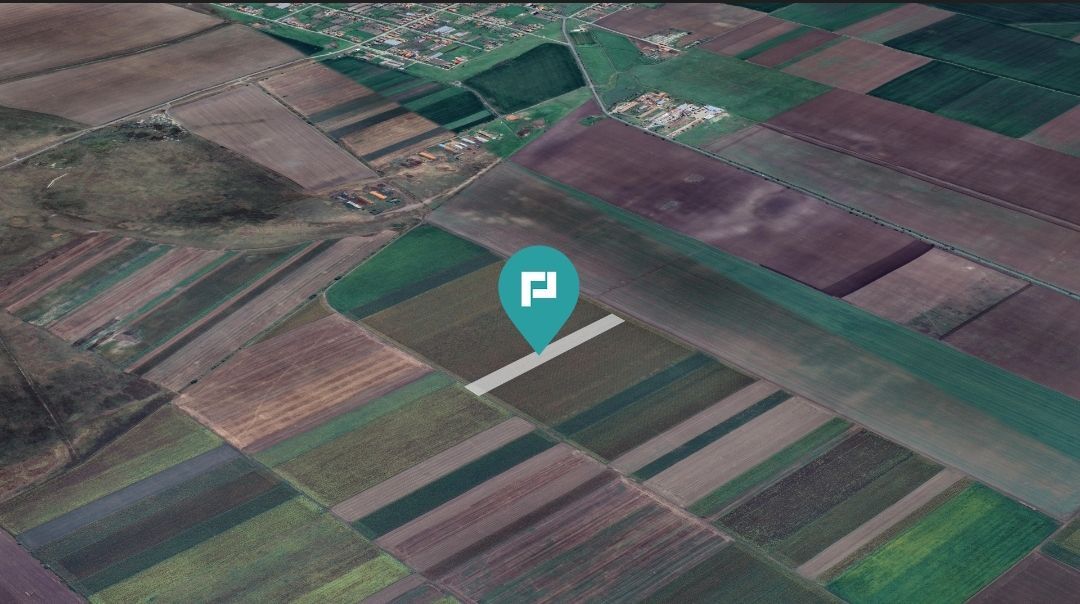 Teren extravilan de 14.500 mp în Caporal Alexa - Poză 2