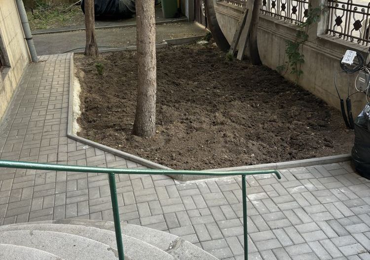 De vanzare Apartament 3 camere in Vila Interbelica Victoriei sect 1 - Poză 6