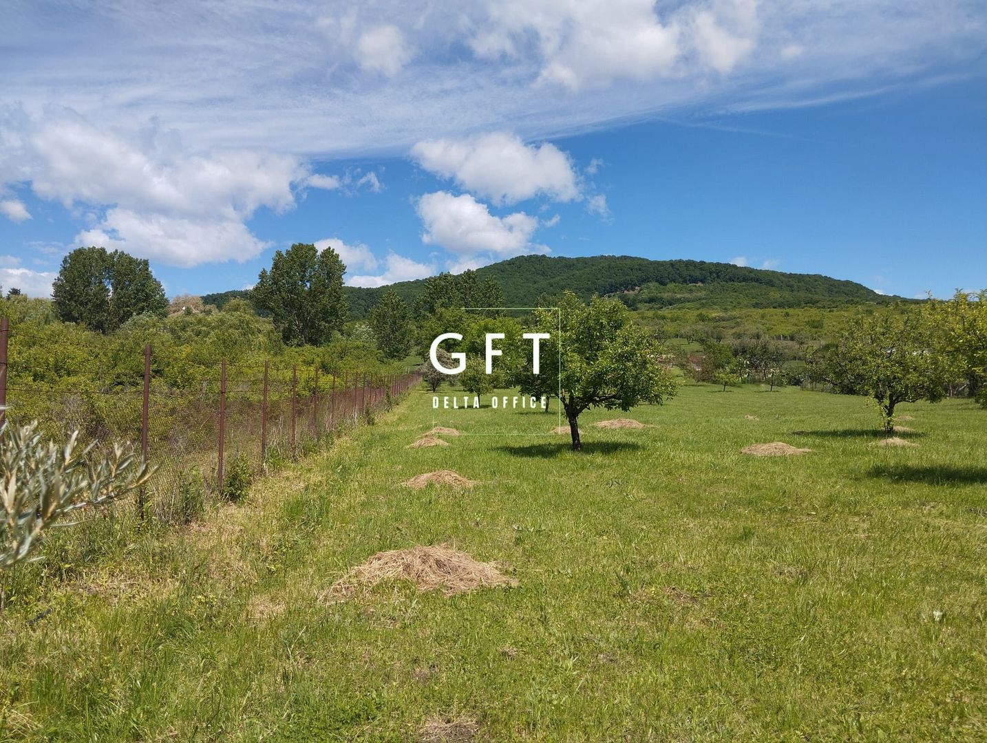 Teren intravilan 6000 mp-parcelabil-ideal constructie case-Crainimat - Poză 2