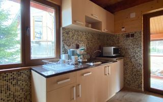 Complex 2 cabane tip duplex + teren mare Vatra Dornei - Panaci - Poză 7
