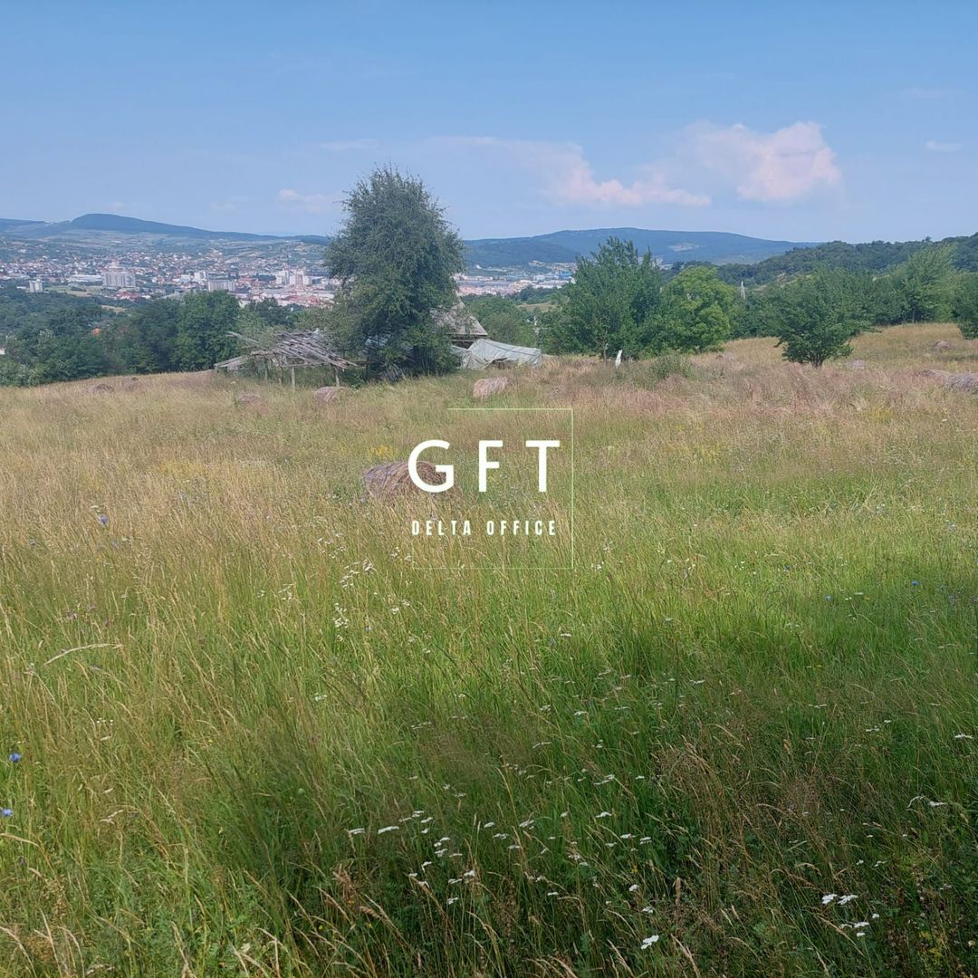 Teren extravilan 7000 mp, zona Lempes - Poză 2