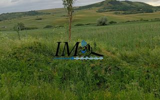 Teren extravilan Drasov - Poză 3