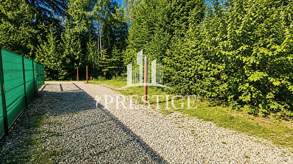 TEREN INTRAVILAN 744 MP | VALEA AVRIGULUI | IDEAL PENTRU CABANĂ - Poză 3